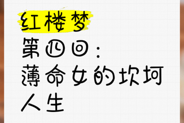 薄命命女的命运解析：她们的生活与选择