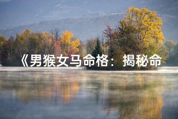 2016年命运之谜：解密这一年的生肖与命理相生相克