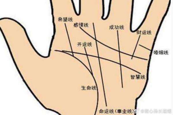 手相的秘密：从断裂线看命格的深刻寓意