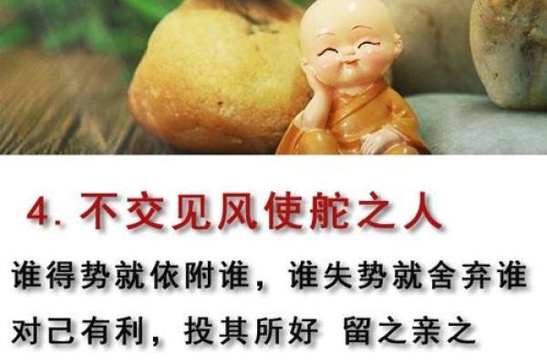 95年出生的人与哪些命相合，开启人生新篇章！