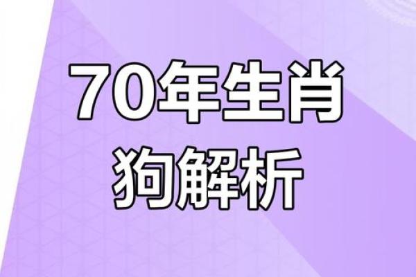 1994属狗女性的命运解析：从性格到发展之路