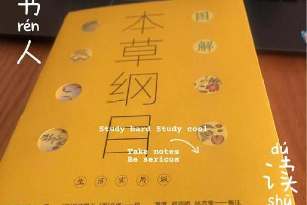 38岁狗命运解析：色彩的奥秘与生活的智慧