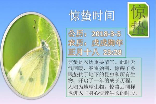 狗年山头火命的特点与命理解析：缺什么才更顺畅？