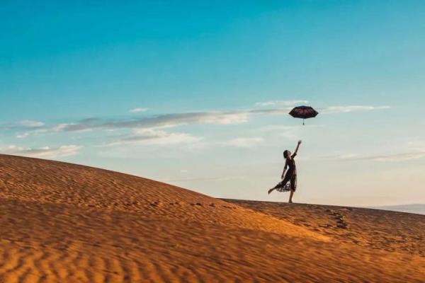 戊申日出生的命运解析：揭开生命的神秘面纱