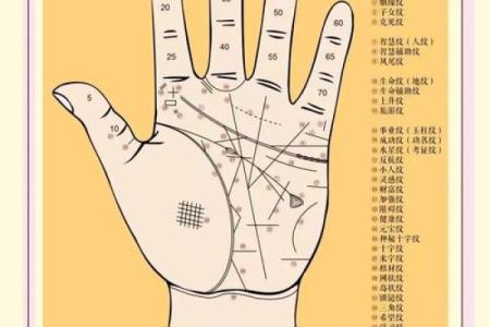 探索正宗命理学的智慧：揭开命运的神秘面纱