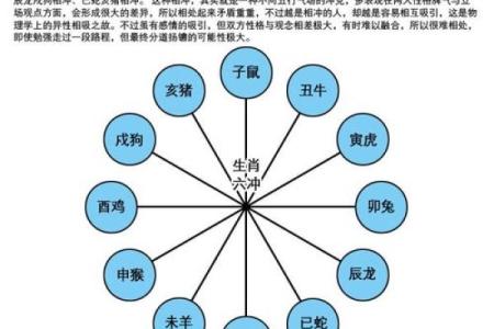 2016年命运之谜：解密这一年的生肖与命理相生相克