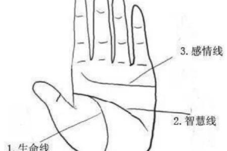 手相的秘密：从断裂线看命格的深刻寓意