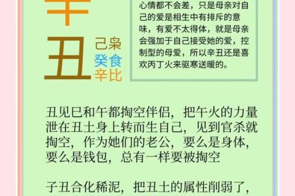 04年出生的属相命运解析：如何把握好运与挑战？