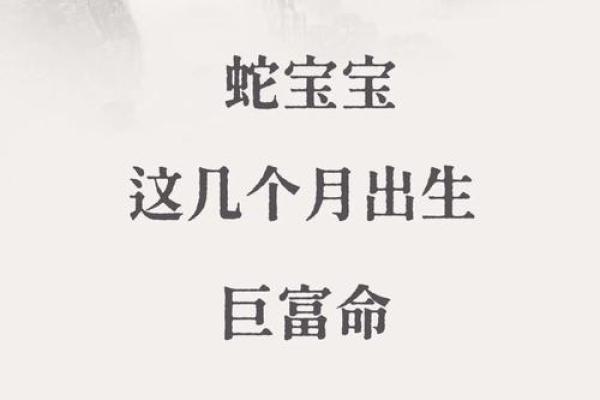 04年出生的属相命运解析：如何把握好运与挑战？