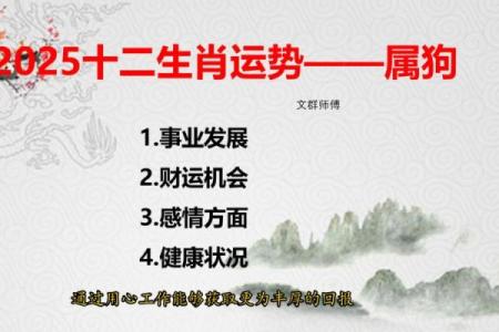 狗年出生的宝宝属什么命？浅谈属狗人的命理特征与运势