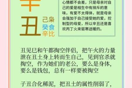 04年出生的属相命运解析：如何把握好运与挑战？