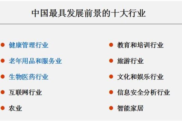 2017年出生的男孩命运解析：影响他们未来发展的关键因素