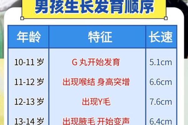 2017年出生的男孩命运解析：影响他们未来发展的关键因素