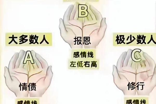 手相中的半圆:揭示命理背后的神秘密码 手相中的半圆:揭示命理背后的神秘密码