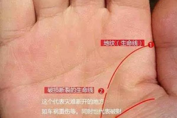 手相中的半圆:揭示命理背后的神秘密码 手相中的半圆:揭示命理背后的神秘密码