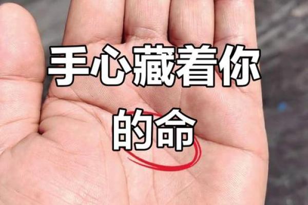 手掌放平,命运的秘密与人生的启示 手掌放平,命运的秘密与人生的启示