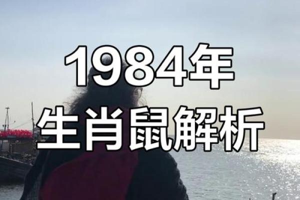 1996年老鼠年出生的人是什么命？深入解析老鼠的命运与性格特点！