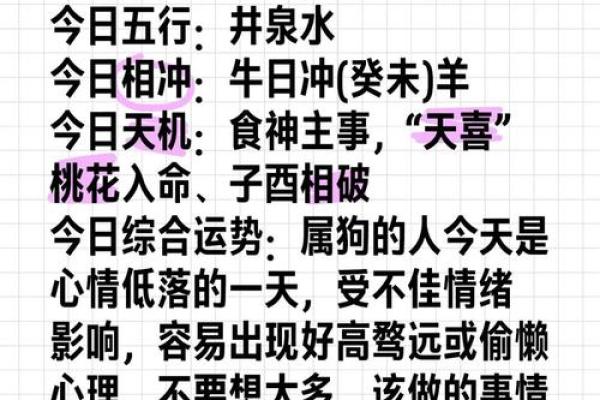 2019年腊月生肖狗运势揭秘：探索狗年命理的深层意义与影响