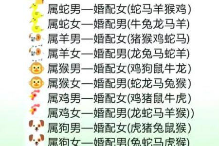 92年女金命与哪些男命最为相配？真相解析！