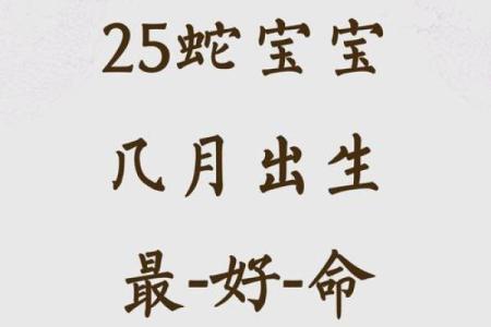 2022年蛇年命运揭秘：解析蛇年出生者的性格与运势