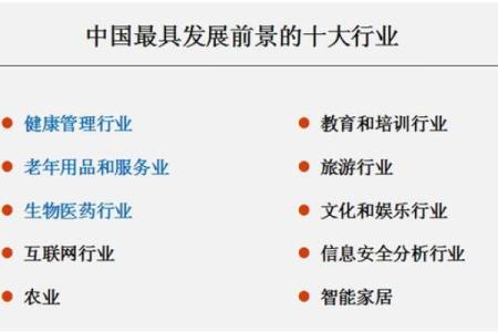 2017年出生的男孩命运解析：影响他们未来发展的关键因素