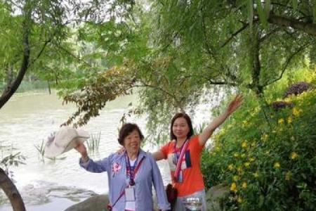 探寻归命：生命的归宿与意义之旅