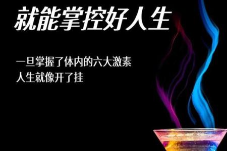 如何通过了解命理来发现自我，掌控人生的方向