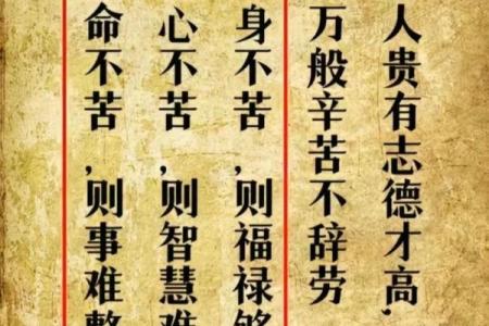 解析1970年出生者的命运与人生智慧