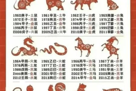 1980年属猴，聪明机智的命运解析与人生哲学
