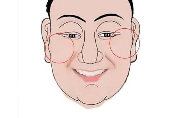 颧骨过高的面相解析：命格与性格的深层次联系