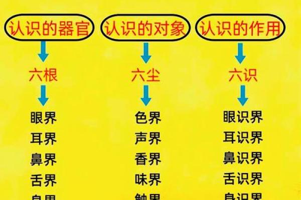 探索命理世界：0命与6命的神秘区别