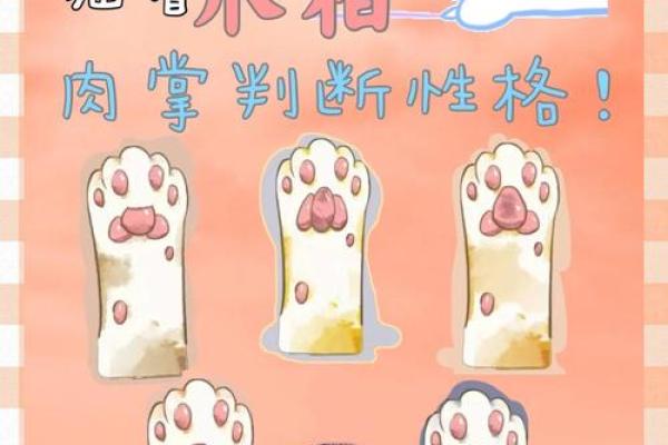 揭秘：大蜈蚣的人是什么命？独特的命理分析与性格特征！