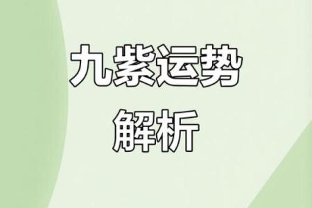 探索15年11月的命理奥秘：运势与生活的结合之道