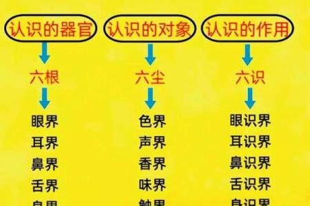 探索命理世界：0命与6命的神秘区别