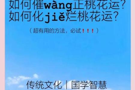 命理学中的桃花运解析：解读命里犯桃花的真谛与影响