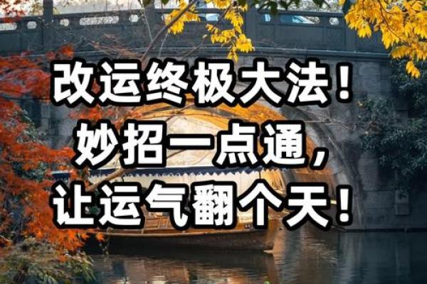 道士的命理智慧：揭示生命奥秘与命运的秘密