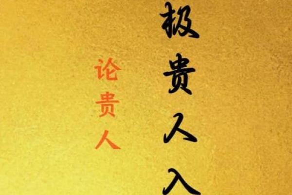 道士的命理智慧：揭示生命奥秘与命运的秘密