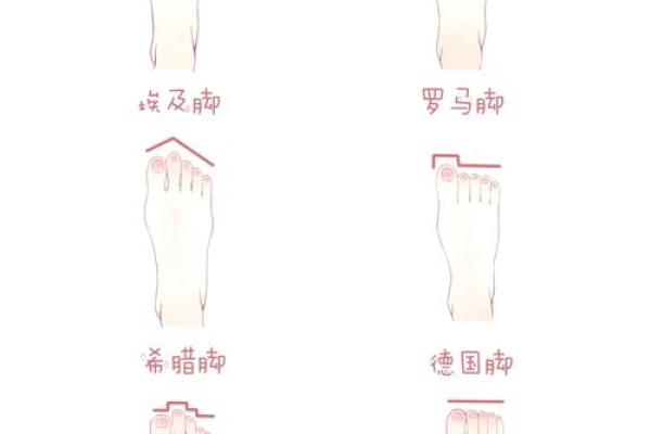 女人脚型与命运：解读富贵命的秘密