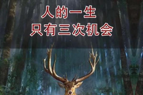 27、28岁是什么命?解密人生转折的关键时刻! 27、28岁是什么命?解密人生转折的关键时刻!