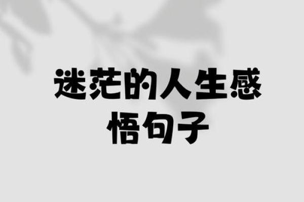 1977年金命人的生活与命运：探索独特的人生轨迹与内心世界