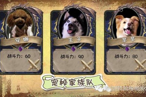 71年属狗人的命运解析:性格、事业与生活的秘密 71年属狗人的命运解析:性格、事业与生活的秘密