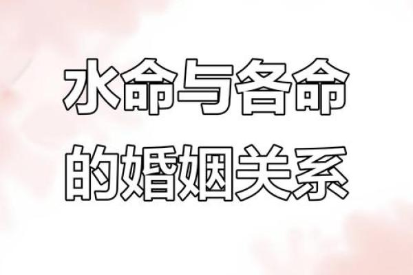 金命与最佳婚配命理：揭示理想伴侣的秘密