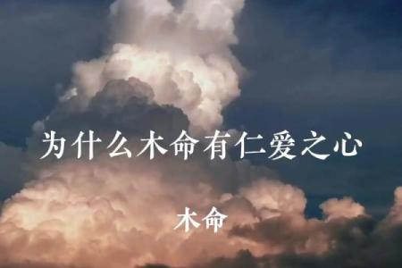 2019年是什么木命人？揭开木命人的神秘面纱与性格特征！