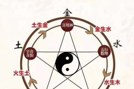 2019年出生的宝宝，命与运势的深度解析