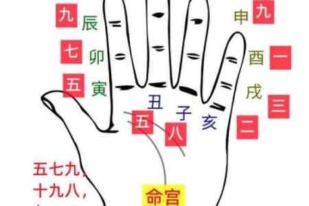 壬戌癸亥命格解析：探秘命运的轨迹与人生的抉择