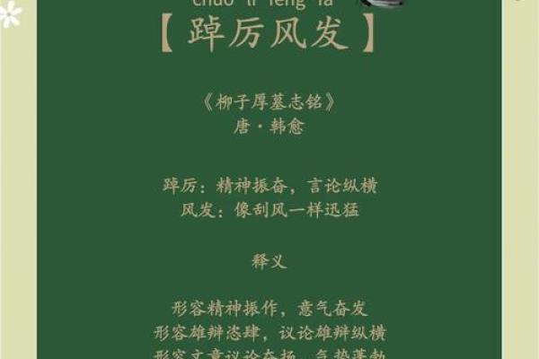 「随风而行,勇往直前:人生中的成语智慧」 「随风而行,勇往直前:人生中的成语智慧」