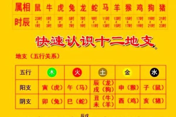 命理解析：身旺命弱，人生的双面特征与平衡之道