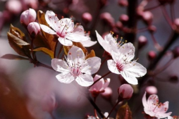 城头土命的避忌与运势解析，助你步入人生巅峰！