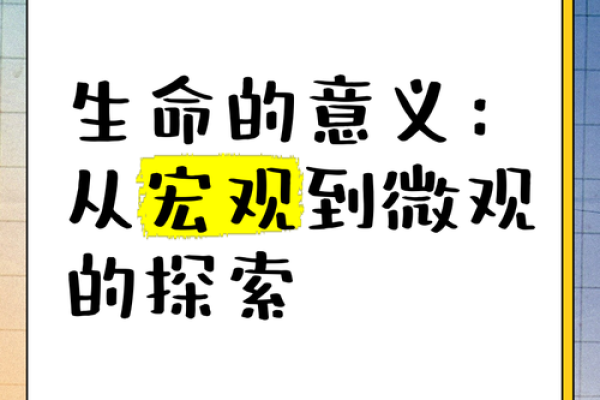 命系于宇宙，生命的意义与探索之旅