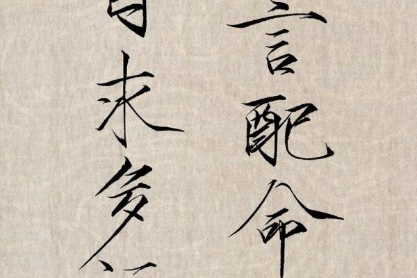 探讨“命毁之中的命”：生死与存在的哲学思考